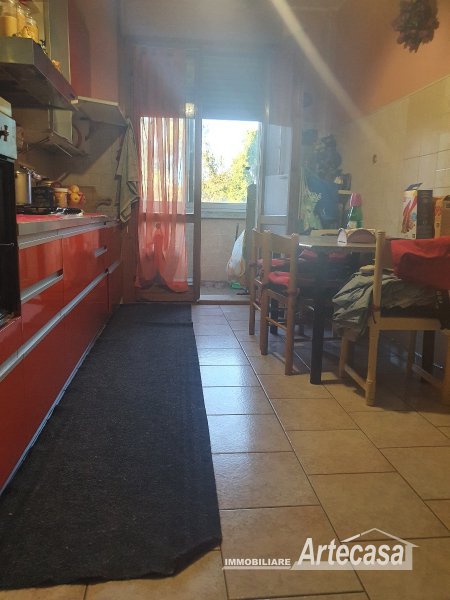 Immagine 7