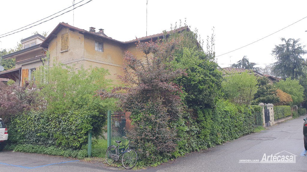 Immagine 1