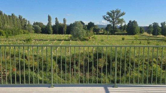 Abbinata in venditaReggio Emilia - Acque Chiare