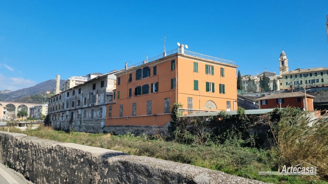 Immagine 6