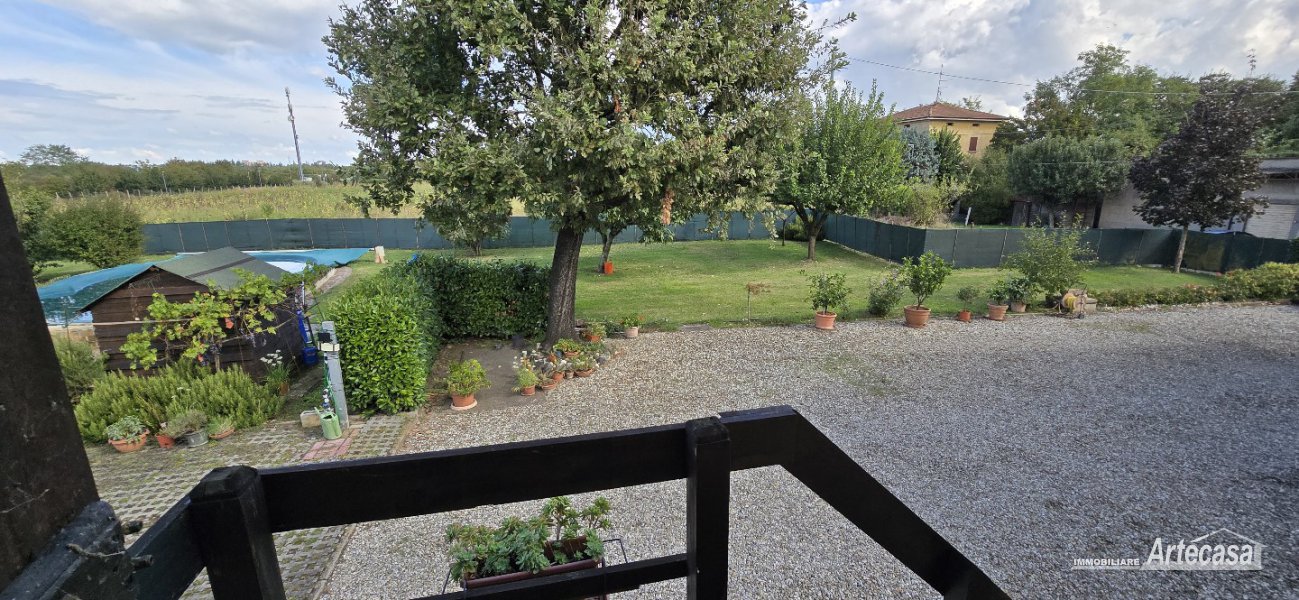 Immagine 23