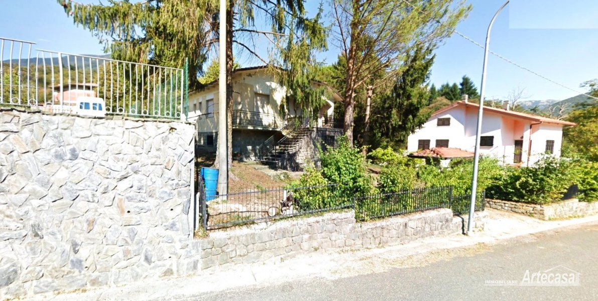 Immagine 2