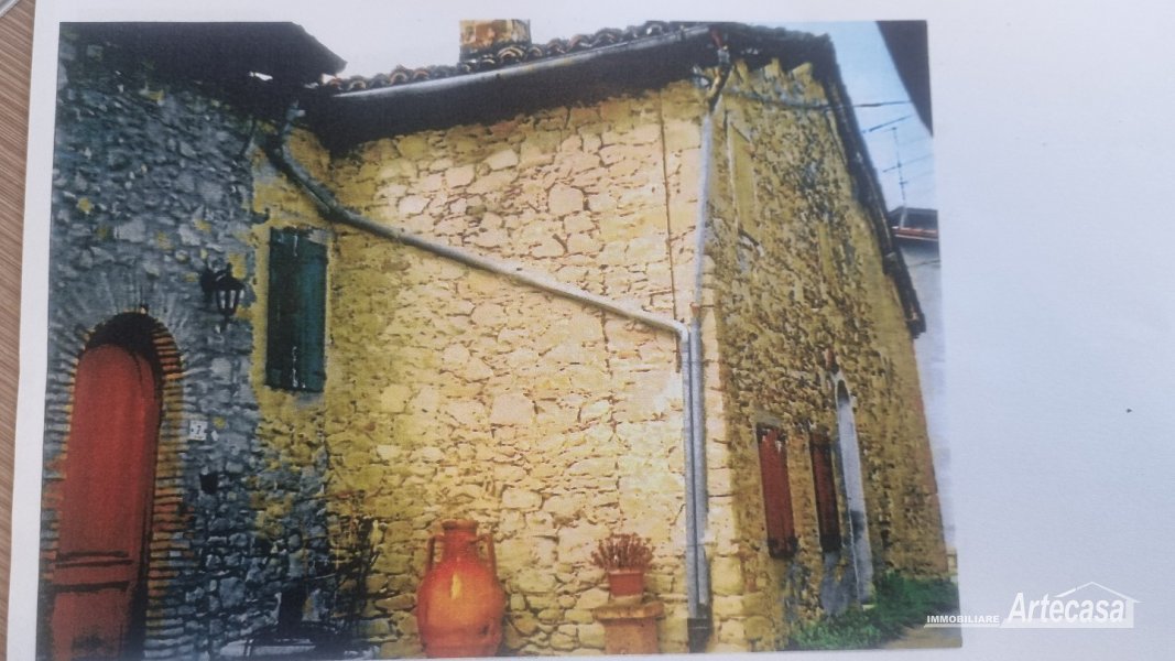Immagine 1