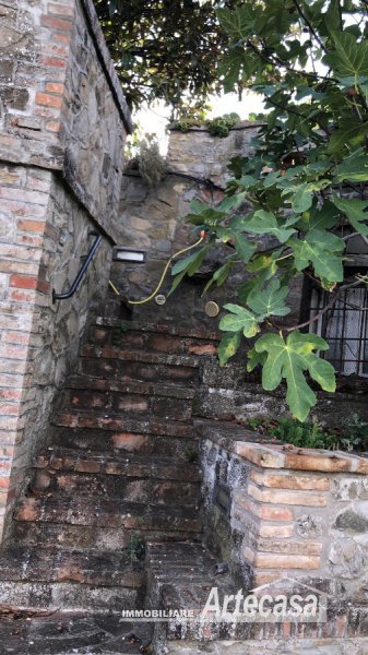 Immagine 8