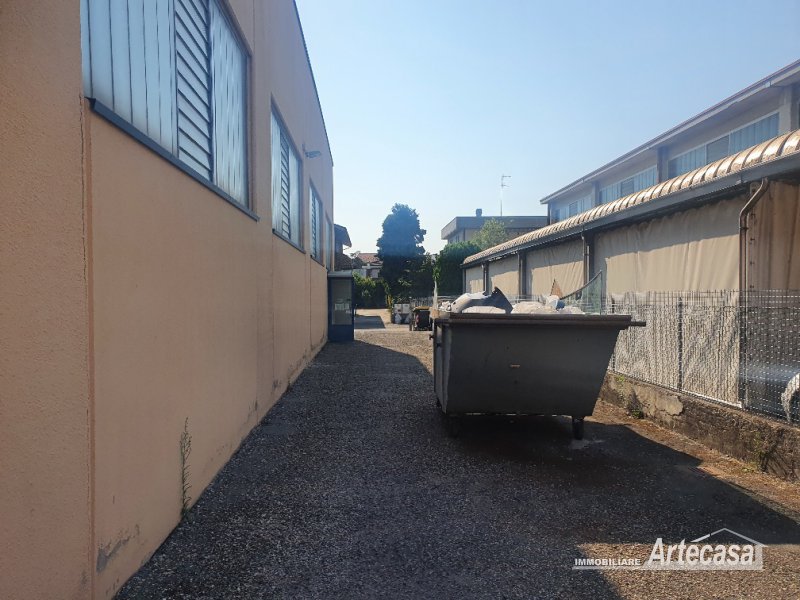 Immagine 3