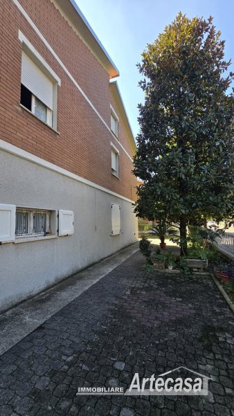 Immagine 8