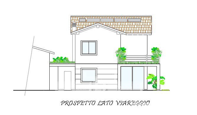 Immagine 11