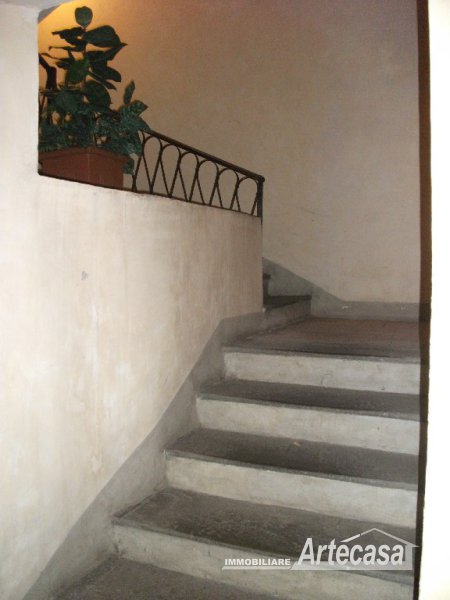 Immagine 5