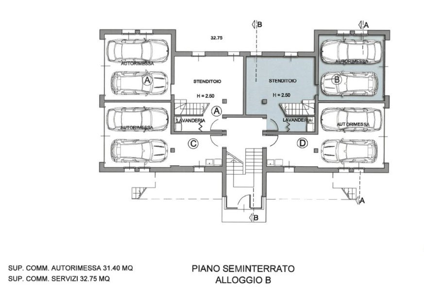 Immagine 7